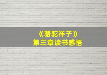 《骆驼祥子》第三章读书感悟