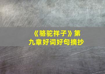 《骆驼祥子》第九章好词好句摘抄