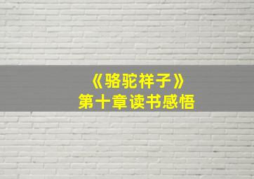 《骆驼祥子》第十章读书感悟