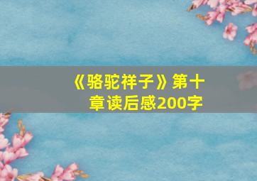 《骆驼祥子》第十章读后感200字