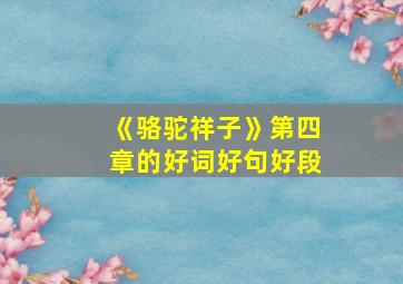 《骆驼祥子》第四章的好词好句好段