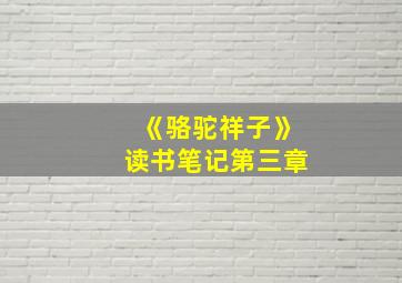 《骆驼祥子》读书笔记第三章