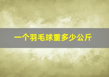 一个羽毛球重多少公斤