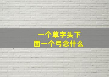 一个草字头下面一个弓念什么