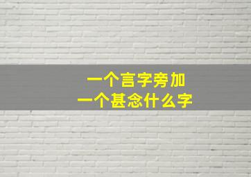 一个言字旁加一个甚念什么字