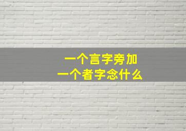 一个言字旁加一个者字念什么