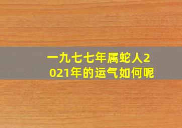 一九七七年属蛇人2021年的运气如何呢