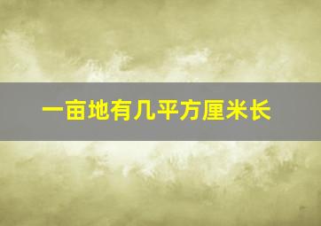 一亩地有几平方厘米长