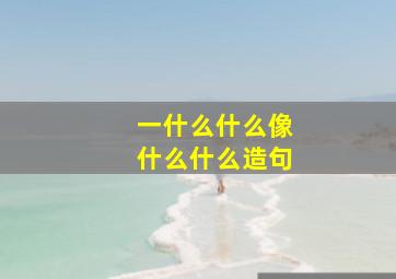 一什么什么像什么什么造句