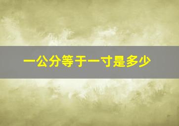 一公分等于一寸是多少