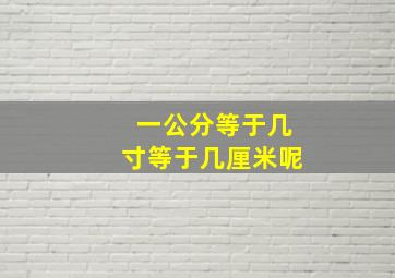 一公分等于几寸等于几厘米呢