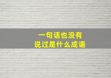 一句话也没有说过是什么成语