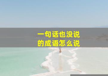 一句话也没说的成语怎么说