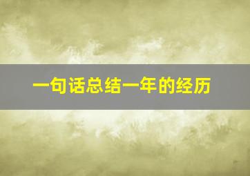 一句话总结一年的经历