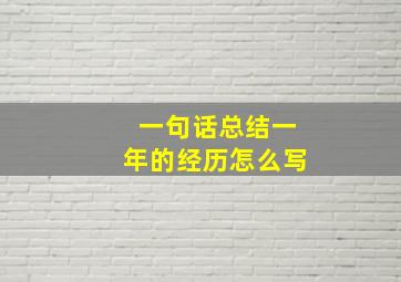 一句话总结一年的经历怎么写