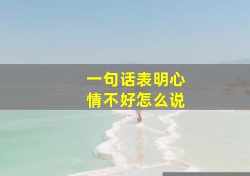 一句话表明心情不好怎么说