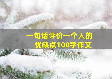 一句话评价一个人的优缺点100字作文