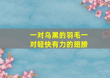 一对乌黑的羽毛一对轻快有力的翅膀