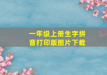 一年级上册生字拼音打印版图片下载