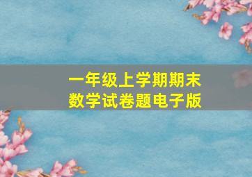 一年级上学期期末数学试卷题电子版