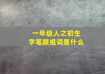 一年级人之初生字笔顺组词是什么