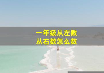 一年级从左数从右数怎么数