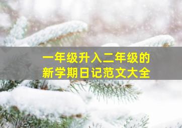 一年级升入二年级的新学期日记范文大全