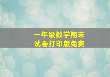 一年级数学期末试卷打印版免费