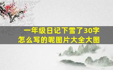 一年级日记下雪了30字怎么写的呢图片大全大图