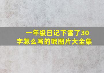 一年级日记下雪了30字怎么写的呢图片大全集