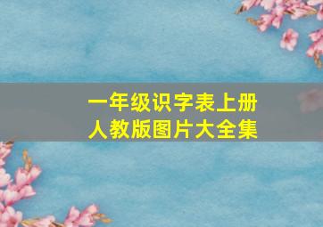 一年级识字表上册人教版图片大全集