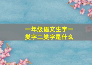 一年级语文生字一类字二类字是什么