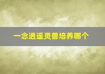 一念逍遥灵兽培养哪个