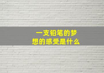 一支铅笔的梦想的感受是什么