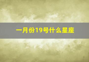 一月份19号什么星座