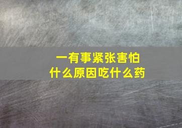 一有事紧张害怕什么原因吃什么药