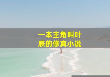 一本主角叫叶辰的修真小说