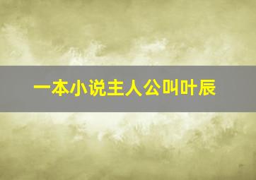 一本小说主人公叫叶辰