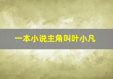 一本小说主角叫叶小凡