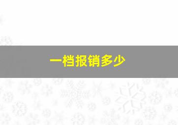 一档报销多少