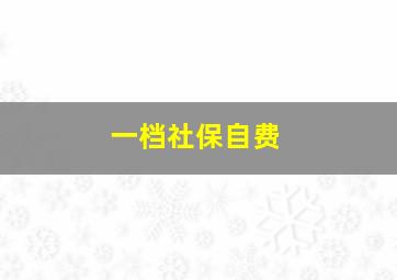 一档社保自费