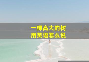 一棵高大的树用英语怎么说