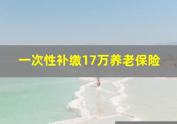 一次性补缴17万养老保险