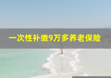 一次性补缴9万多养老保险