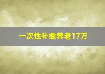 一次性补缴养老17万