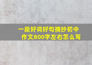 一段好词好句摘抄初中作文800字左右怎么写