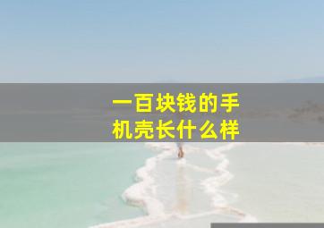 一百块钱的手机壳长什么样