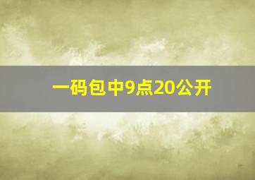 一码包中9点20公开