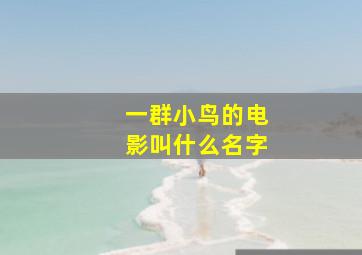 一群小鸟的电影叫什么名字