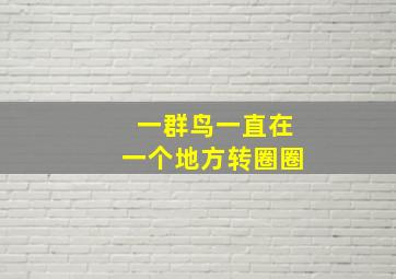 一群鸟一直在一个地方转圈圈